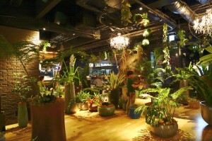umekita jungle