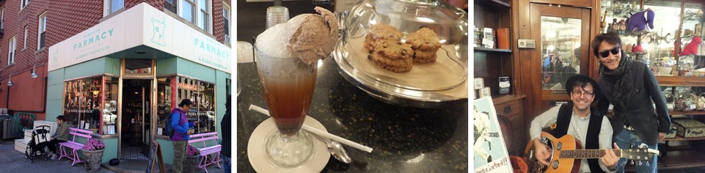 potomak new york Brooklyn pharmacy soda fountain